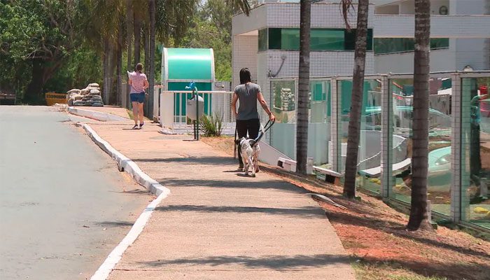 Condomínio às margens do Lago Paranoá proíbe circulação de pets em área verde e causa indignação entre moradores, no DF