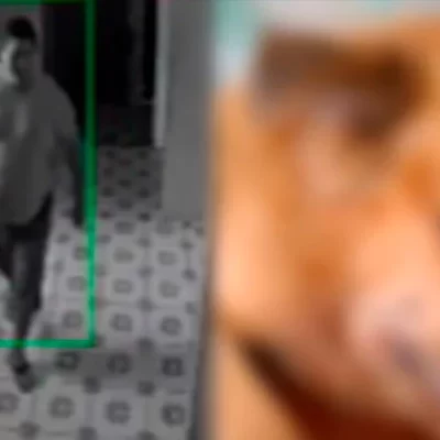 Homem é flagrado agredindo cachorro em condomínio de Ananindeua