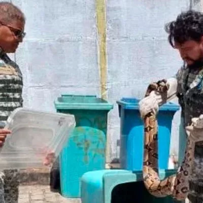 Jiboia é encontrada em estacionamento de condomínio no bairro Luís Anselmo