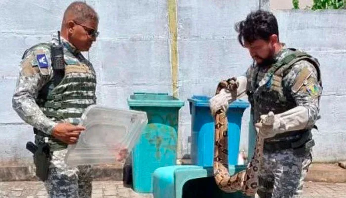 Jiboia é encontrada em estacionamento de condomínio no bairro Luís Anselmo