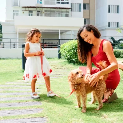 Animais em condomínio: de quem é a responsabilidade em casos de acidentes