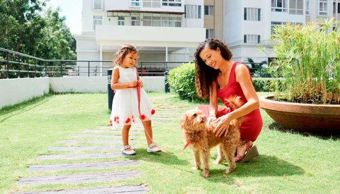 Animais em condomínio: de quem é a responsabilidade em casos de acidentes