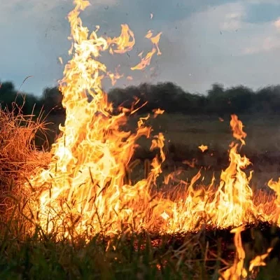 Incêndio atinge área de mata ao lado de condomínio em Vila Velha