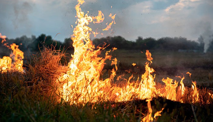 Incêndio atinge área de mata ao lado de condomínio em Vila Velha