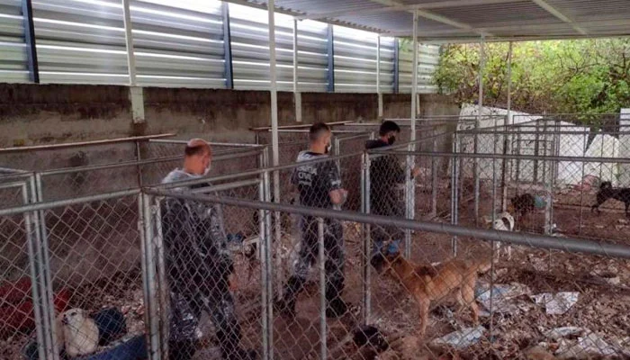 Professor suspeito de matar cães em condomínio residencial também ameaçava vizinhos