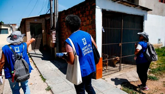 Saiba qual a responsabilidade de proprietário, locatário, imobiliária e síndico no combate ao mosquito da dengue