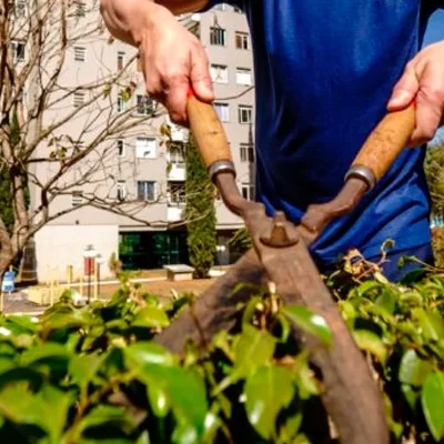 Combate à Dengue em Condomínios