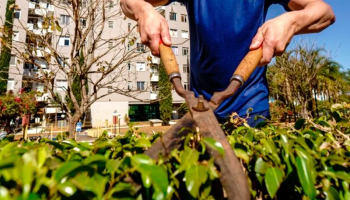 Combate à Dengue em Condomínios