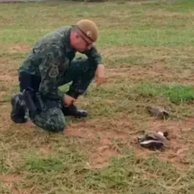 Duas aves são mortas em condomínio em Bauru-sindicolegal