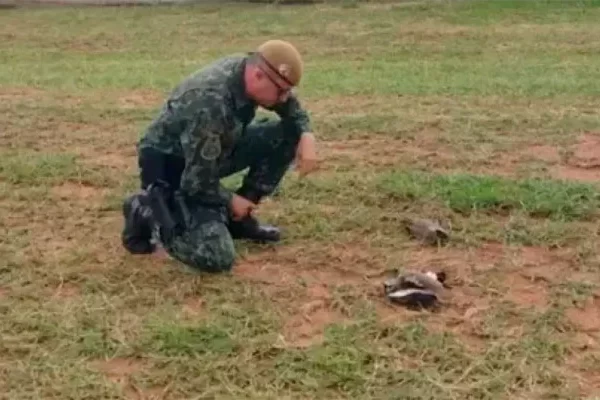 Duas aves são mortas em condomínio em Bauru-sindicolegal