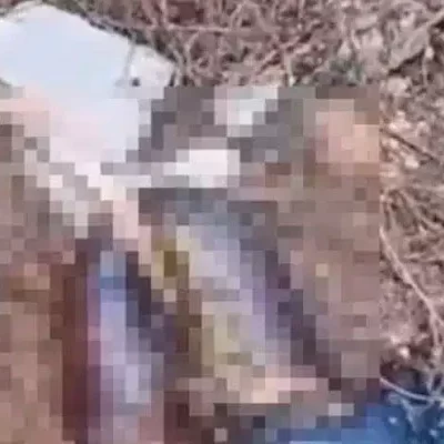 Pulmão e rins encontrados em terreno de condomínio deixam moradores em pânico-sindicolegal