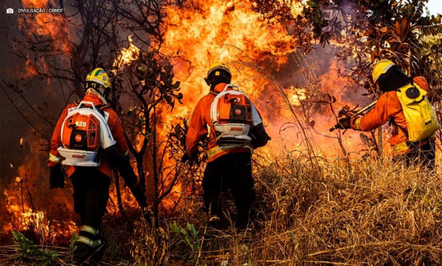 incendios-florestais-diminuem-54%-no-df-no-primeiro-semestre-de-2025