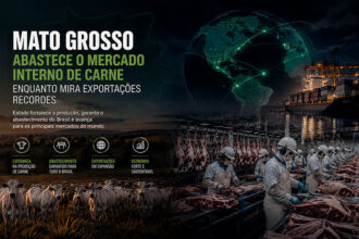 Mato Grosso abastece o mercado interno de carne enquanto mira exportações recordes-sindicolegal
